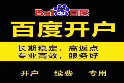 SEM运营推广助力行业领导地位